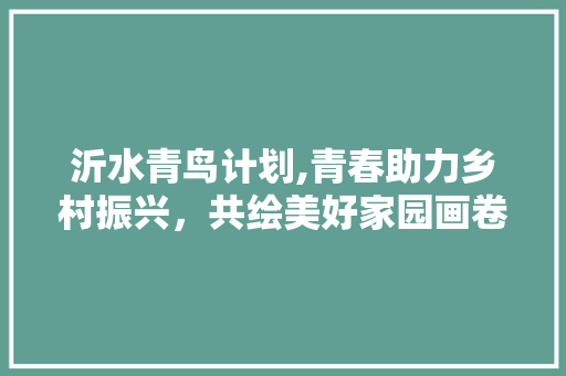 沂水青鸟计划,青春助力乡村振兴，共绘美好家园画卷