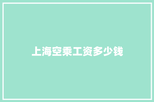 上海空乘工资多少钱