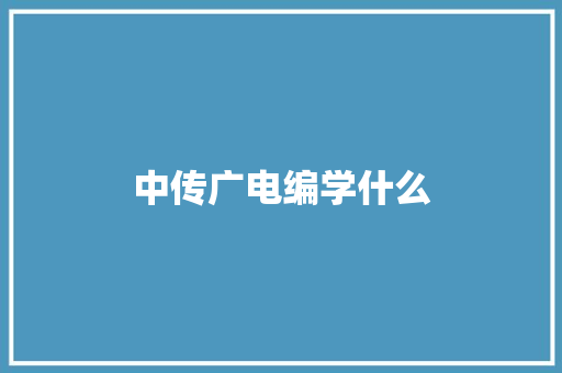 中传广电编学什么 工作报告