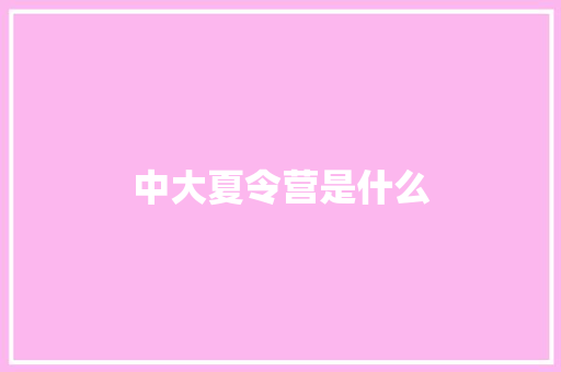 中大夏令营是什么
