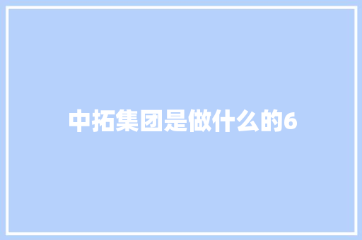 中拓集团是做什么的6