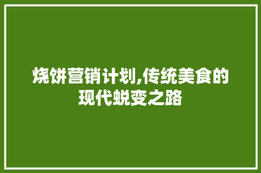 烧饼营销计划,传统美食的现代蜕变之路