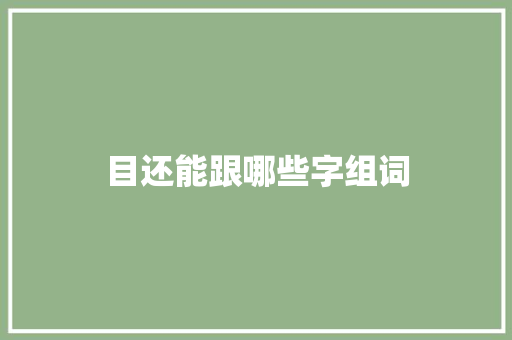 目还能跟哪些字组词