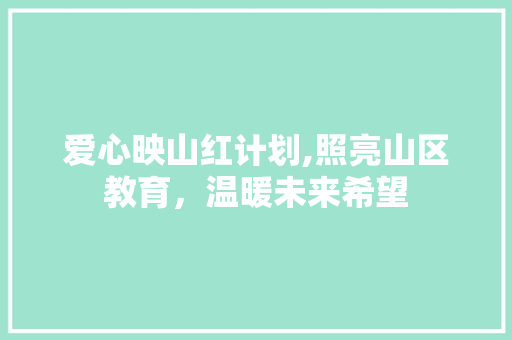 爱心映山红计划,照亮山区教育，温暖未来希望