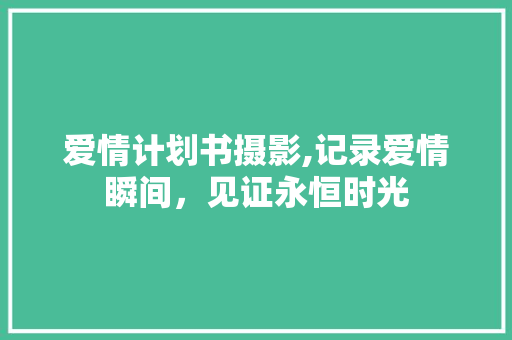 爱情计划书摄影,记录爱情瞬间，见证永恒时光