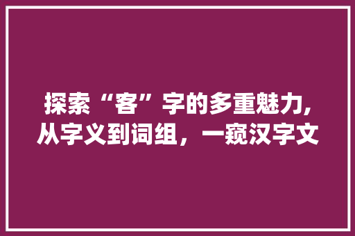 探索“客”字的多重魅力,从字义到词组，一窥汉字文化的博大精深_客可以组成哪些字组词