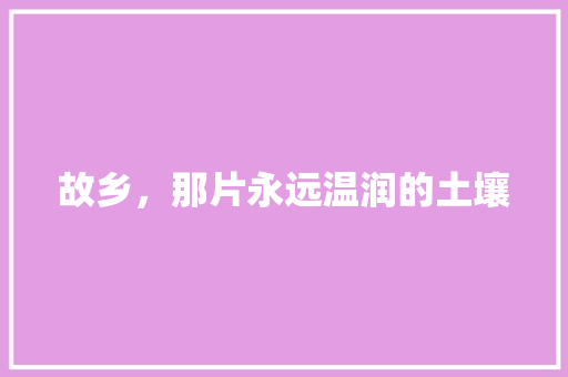 故乡，那片永远温润的土壤