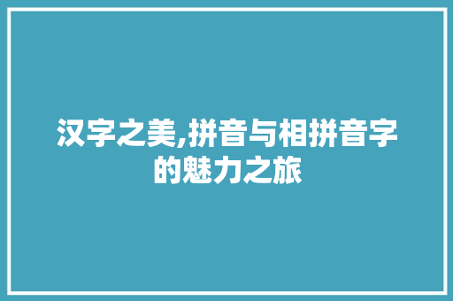 汉字之美,拼音与相拼音字的魅力之旅