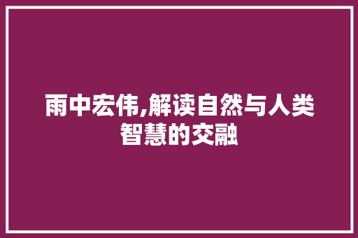 雨中宏伟,解读自然与人类智慧的交融