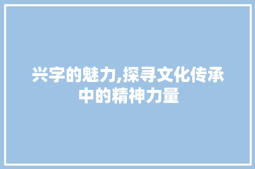 兴字的魅力,探寻文化传承中的精神力量