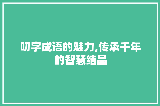 叨字成语的魅力,传承千年的智慧结晶