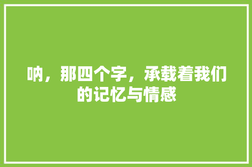 呐，那四个字，承载着我们的记忆与情感 采访稿