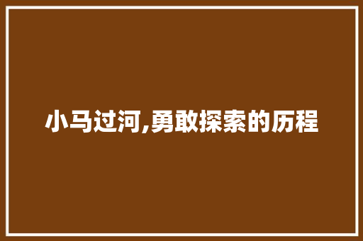 小马过河,勇敢探索的历程
