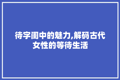 待字闺中的魅力,解码古代女性的等待生活 工作总结