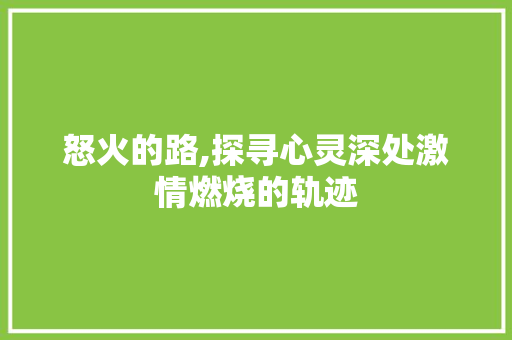 怒火的路,探寻心灵深处激情燃烧的轨迹