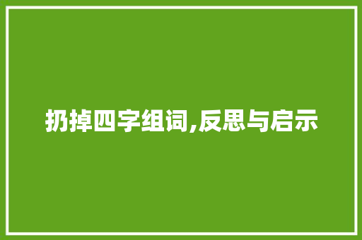扔掉四字组词,反思与启示