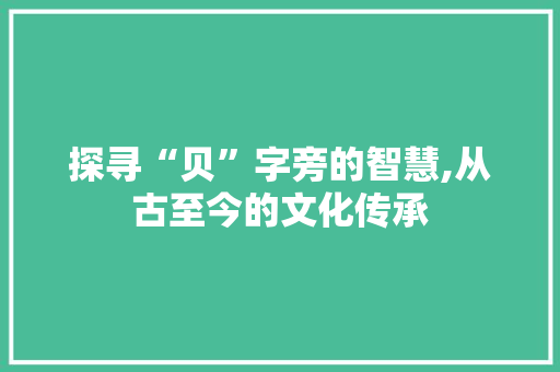 探寻“贝”字旁的智慧,从古至今的文化传承