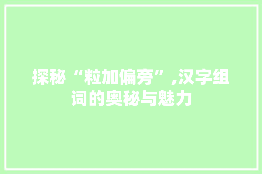 探秘“粒加偏旁”,汉字组词的奥秘与魅力