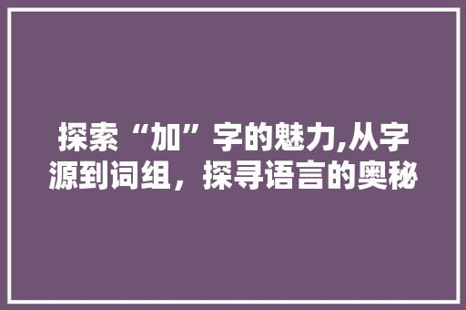 探索“加”字的魅力,从字源到词组，探寻语言的奥秘
