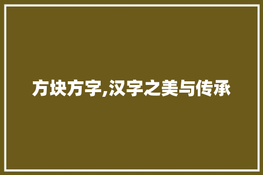 方块方字,汉字之美与传承