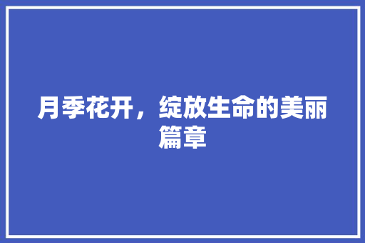 月季花开，绽放生命的美丽篇章