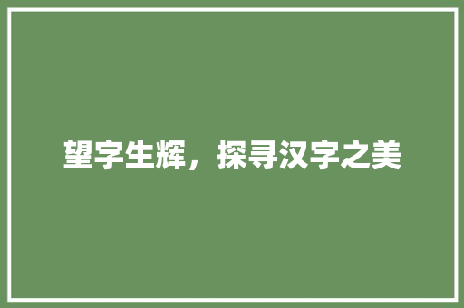 望字生辉，探寻汉字之美