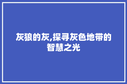 灰狼的灰,探寻灰色地带的智慧之光 工作报告