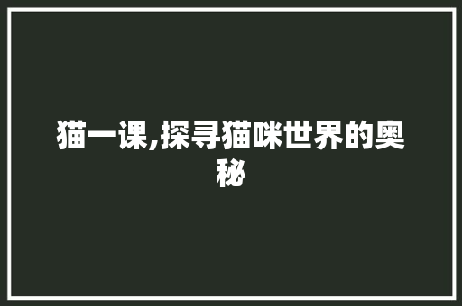 猫一课,探寻猫咪世界的奥秘 生活类