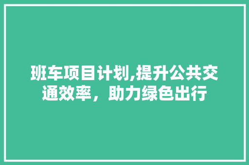 班车项目计划,提升公共交通效率，助力绿色出行