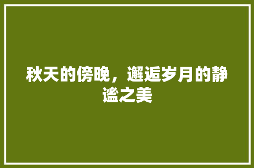 秋天的傍晚，邂逅岁月的静谧之美