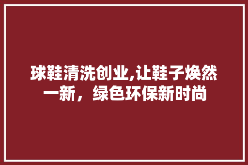 球鞋清洗创业,让鞋子焕然一新，绿色环保新时尚 工作报告