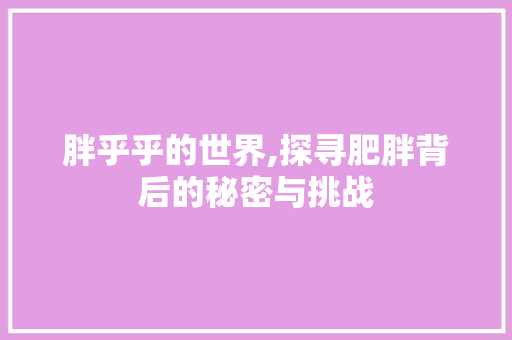 胖乎乎的世界,探寻肥胖背后的秘密与挑战 生活随笔