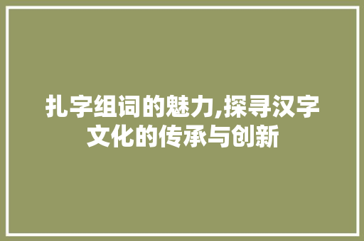 扎字组词的魅力,探寻汉字文化的传承与创新 特写稿