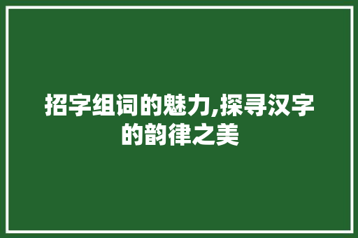 招字组词的魅力,探寻汉字的韵律之美