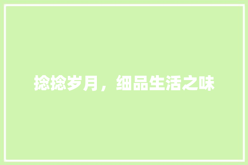 捻捻岁月，细品生活之味