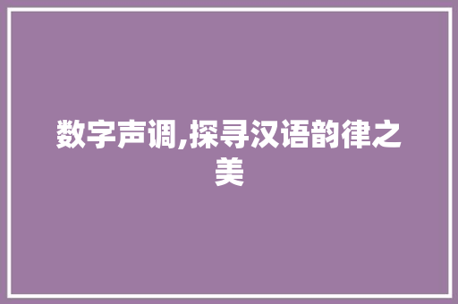 数字声调,探寻汉语韵律之美