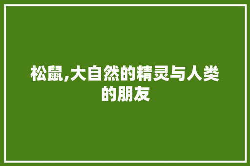 松鼠,大自然的精灵与人类的朋友