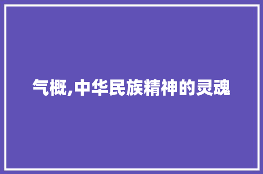 气概,中华民族精神的灵魂 生活感悟