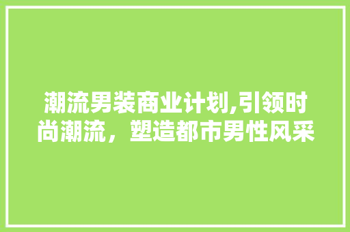 潮流男装商业计划,引领时尚潮流，塑造都市男性风采