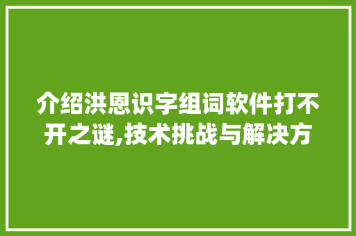 介绍洪恩识字组词软件打不开之谜,技术挑战与解决方法_洪恩识字组词打不开 工作报告