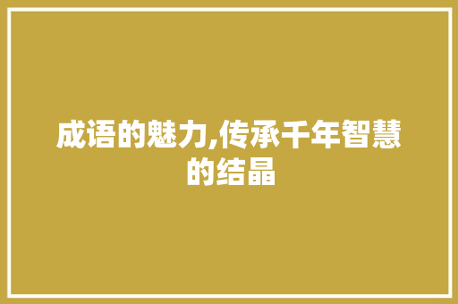 成语的魅力,传承千年智慧的结晶