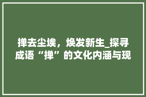 掸去尘埃，焕发新生_探寻成语“掸”的文化内涵与现实意义