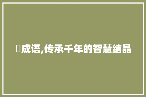 斦成语,传承千年的智慧结晶