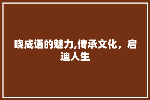 晓成语的魅力,传承文化，启迪人生