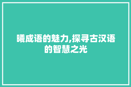 曦成语的魅力,探寻古汉语的智慧之光