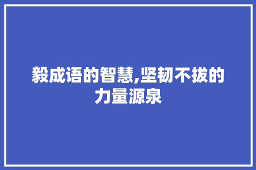 毅成语的智慧,坚韧不拔的力量源泉