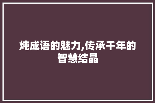 炖成语的魅力,传承千年的智慧结晶