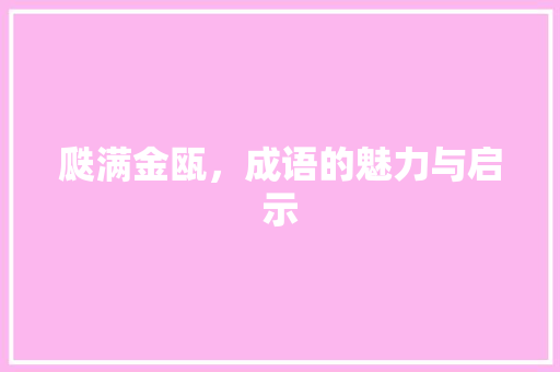 瓞满金瓯，成语的魅力与启示