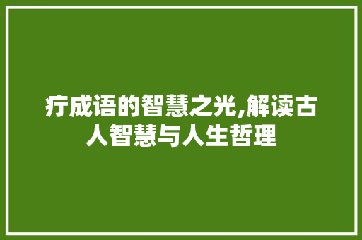 疔成语的智慧之光,解读古人智慧与人生哲理