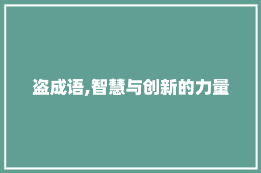盗成语,智慧与创新的力量